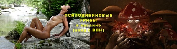 spice Бородино