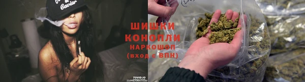 spice Бородино