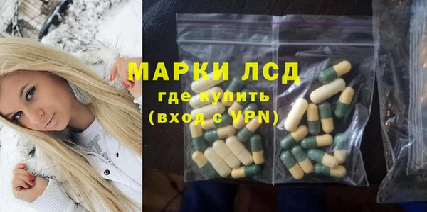 spice Бородино